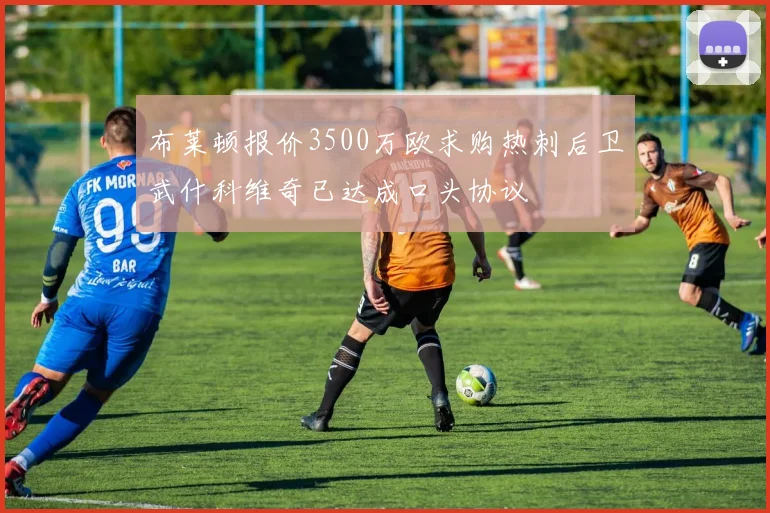 布莱顿报价3500万欧求购热刺后卫武什科维奇已达成口头协议