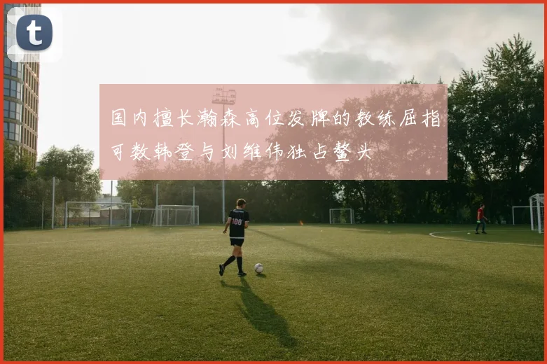国内擅长瀚森高位发牌的教练屈指可数韩登与刘维伟独占鳌头